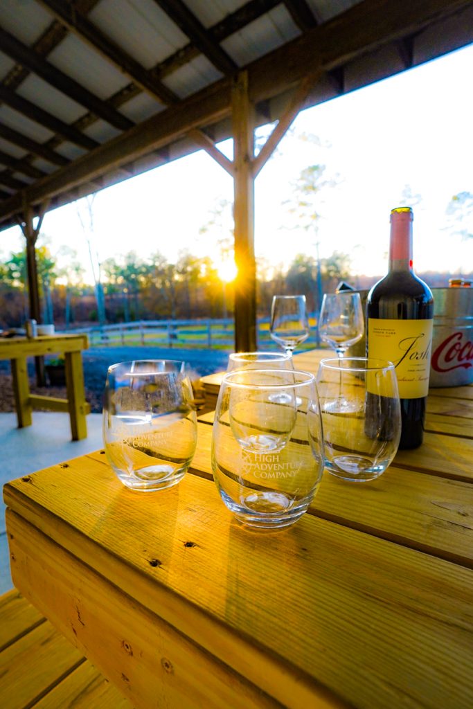 Georgia Quail Hunting - Guided Quail Hunts - High Adventure