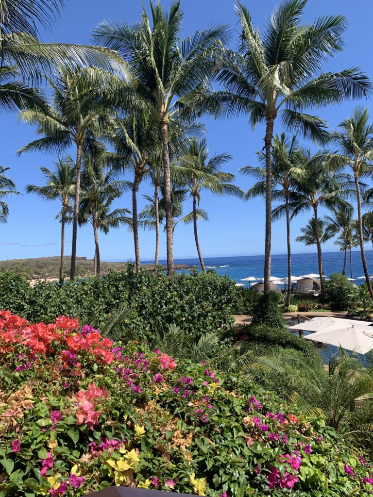 Hawaii-Views - John Burrell's High Adventure Company