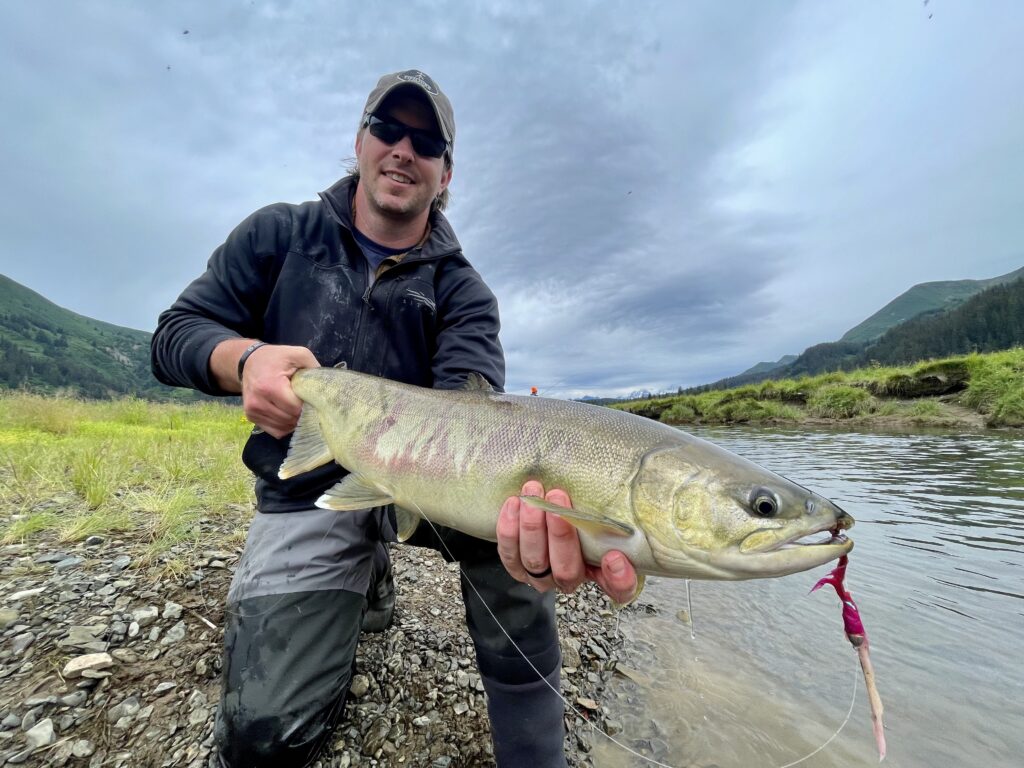 Alaska Fishing River Chum Salmon - John Burrell's High Adventure Company